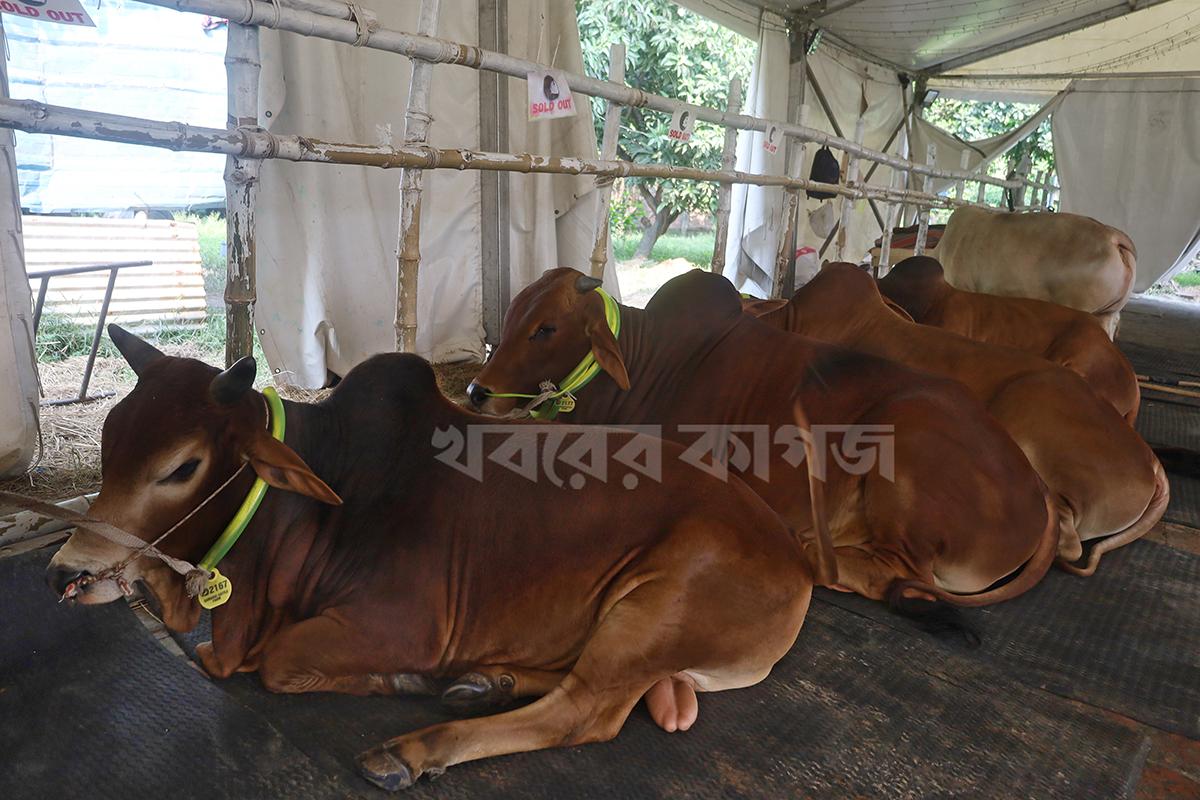 হাতিরঝিল